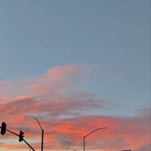 Meet your Posher, Patty